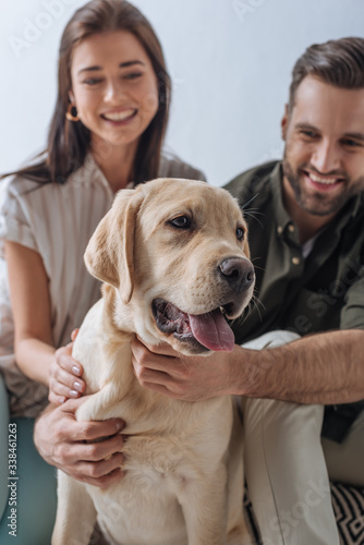 Selective focus of golden retriever sitting near smiling couple isolated on grey