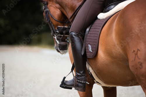 Detailaufnahme von hinten auf einem Reitstiefel und Pferdekopf mit Kandare im Dressurtraining photo