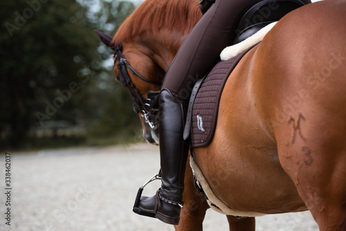 Detail vpn Pferd und Reitstiefel von hinten © Talitha