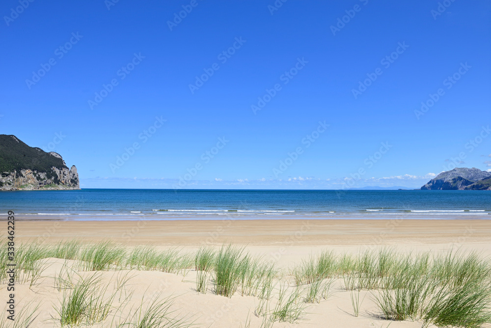 View of an empty beach with grass growing on the dunes