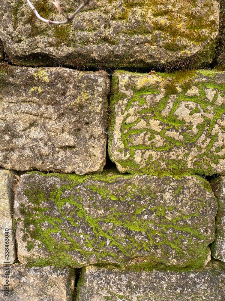 Fototapeta premium stone wall with moss