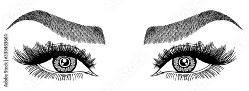 Illustration with woman's eyes, eyelashes and eyebrows. Realistic sexy makeup look. Tattoo design. Logo for brow bar or lash salon.