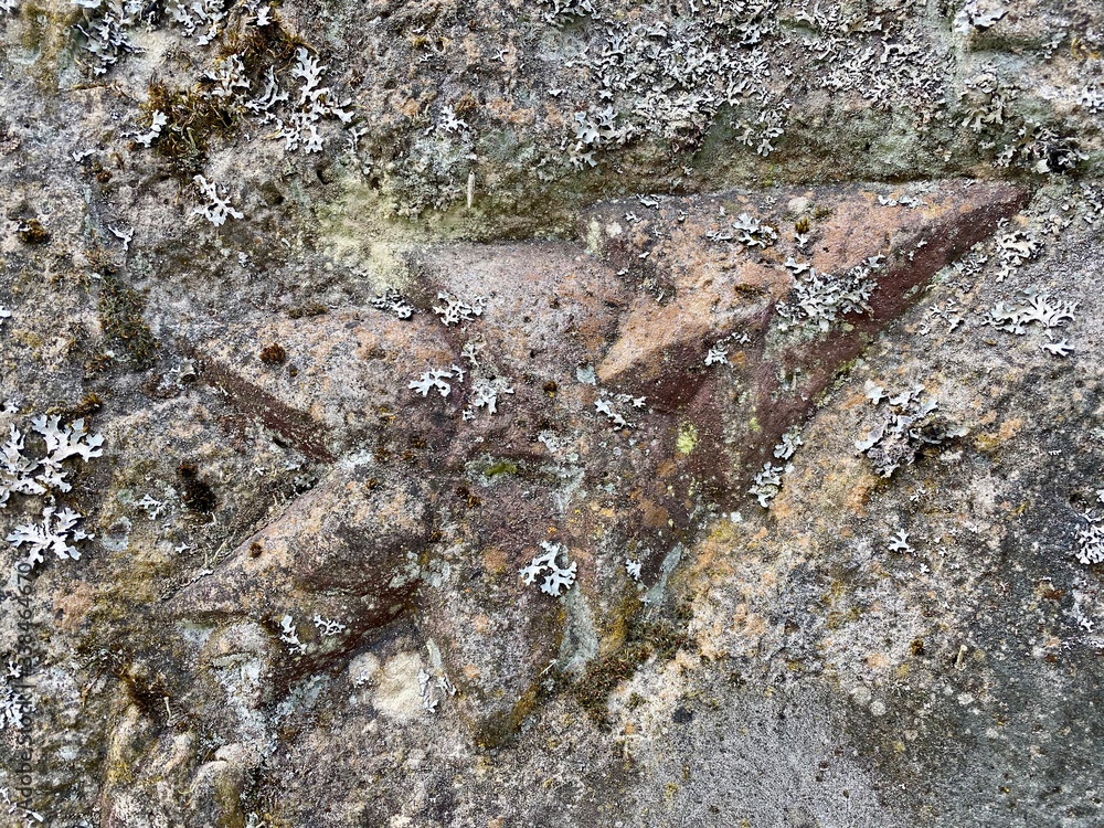 Close up of a stone in the Naturpark Schönbuch Close up of a stone in the Naturpark Schönbuch