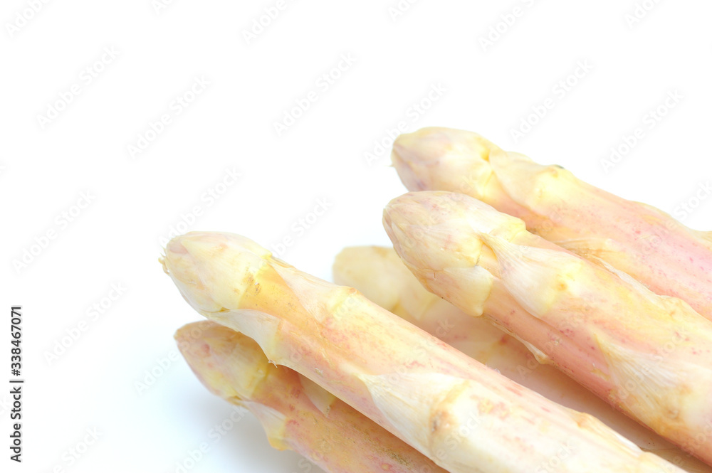 Several asparagus sticks on a white background Several asparagus sticks on a white background