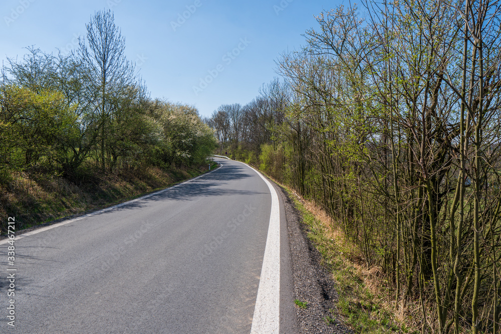 road with winding and passing trees in spring, czech