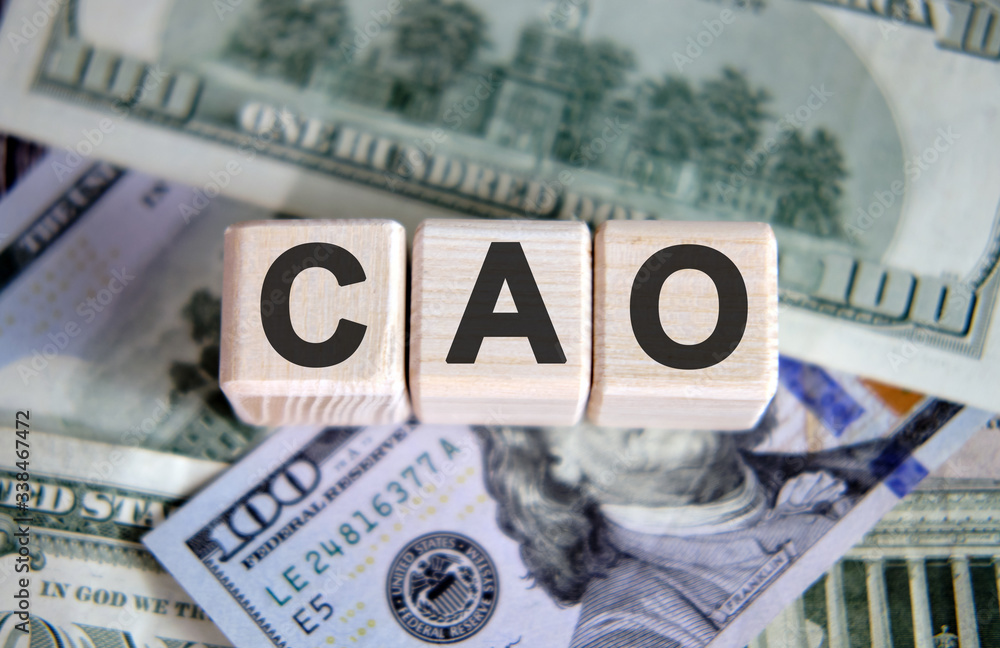 Fototapeta premium CAO financial business concept. Wooden cubes and paper dollar bills as a background
