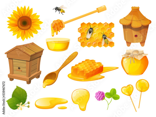 Honey isolated set, beekeeping products, wooden beehive apiary, vector illustration. Honeycomb and beeswax, natural organic sweets, jar of pure nectar. Honeybee, sunflower, wooden spoon, syrup dipper