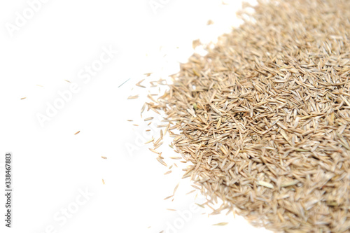 Bunch of grass seeds with several different sorts and therefore sizes and shapes on a white background