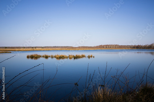 Das Moor im Weitwinkel