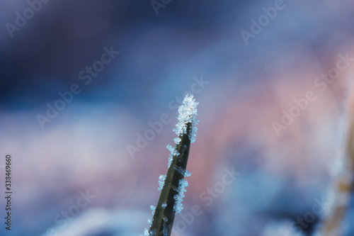 Fototapeta Naklejka Na Ścianę i Meble -  trawa z kostkami lodu 