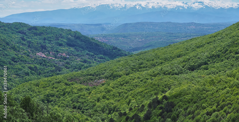 Obraz premium Spectacular impenetrable virgin jungle