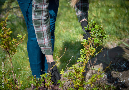 Working in the spring garden.