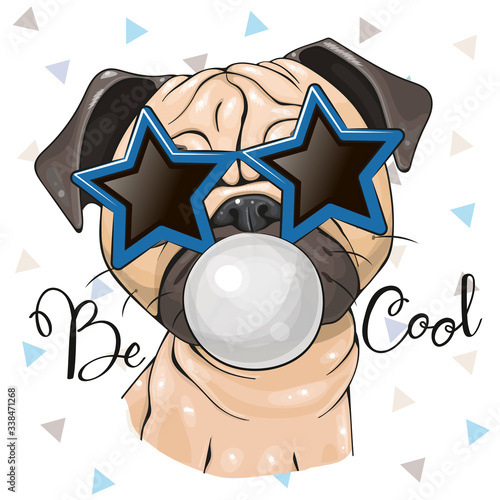 Pug dog with sun glasses in the shape of stars and bubblegum