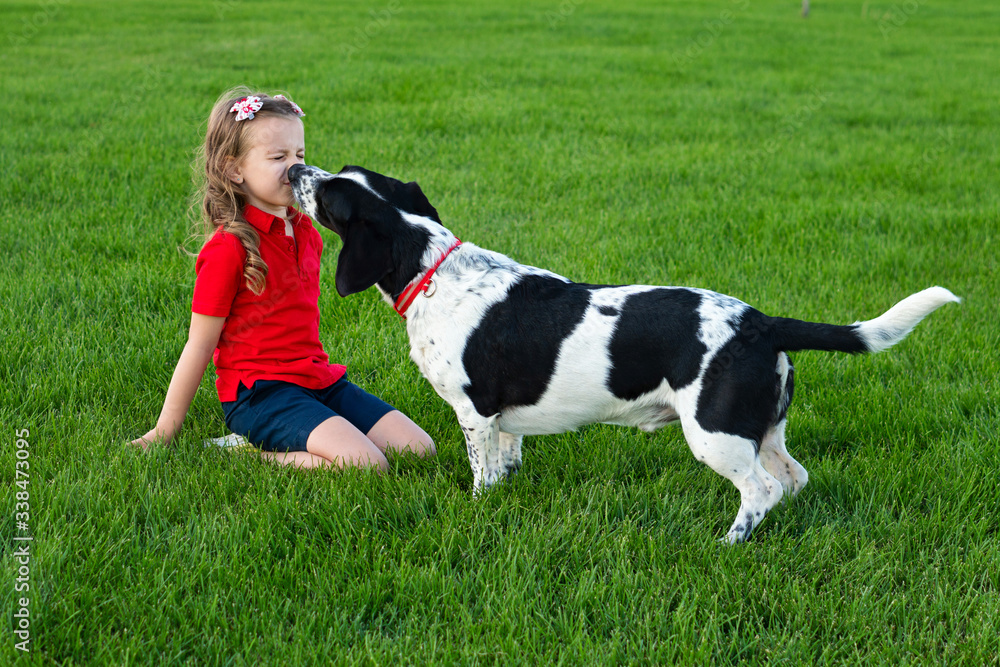 Hunting dog kisses his little mistress. Child and his beloved pet spend time outdoors. Cute photo of dog and its owner relaxing on grass. Faithful friends of human. Friendship, togetherness