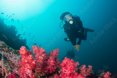 Wallpaper Mural Young woman scuba dives on coral reef  Torontodigital.ca