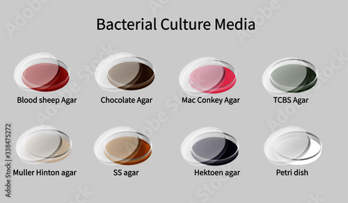 Bacterial culture media for differentiate and diagnosis in microbiology laboratory