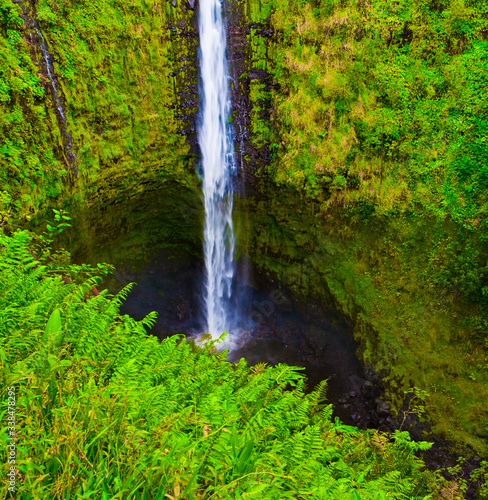 Kolekole Stream Plunges Over 'Akaka Falls, 'Akaka Falls State Park, Honomu, Hawaii, USA