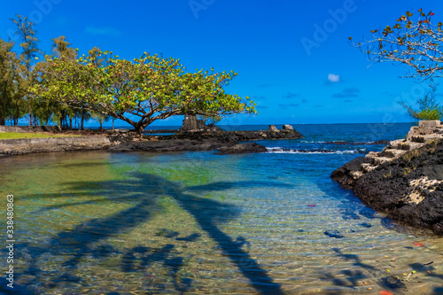Fototapeta Naklejka Na Ścianę i Meble -  Shadow of Palm Tree On Hilo Bay at Coconut Island Park, Hilo, Hawaii, USA
