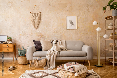 Stylish scandi compostion at living room interior with design sofa, commode, shelf, carpet, rattan pouf, plants, picture frame, macrame, personal accessories and dog lying on the couch.