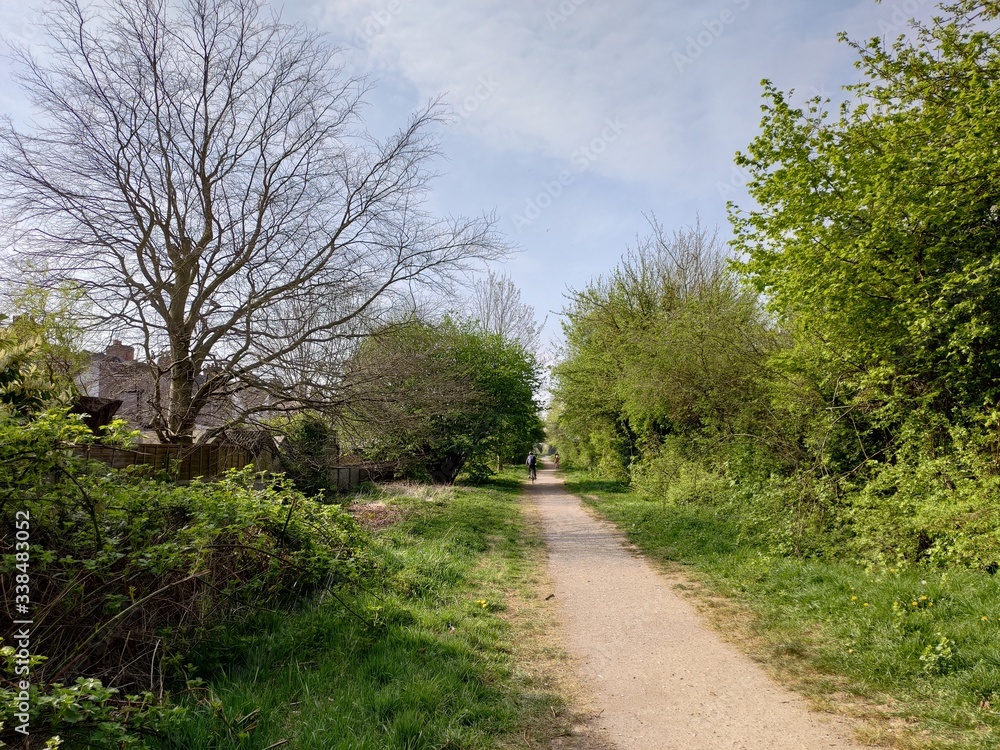 path in the park