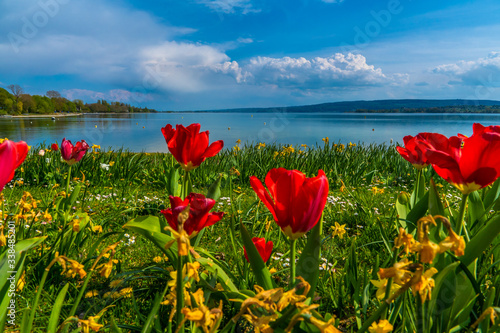 Ferien am schönen Bodensee Frühling mit bunten Blumen 