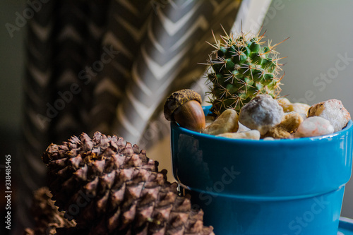 Home scape
