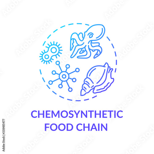 Chemosynthetic food chain concept icon. Energy producer and consumers organisms. Marine ecosystem idea thin line illustration. Vector isolated outline RGB color drawing