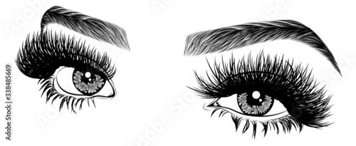 Fényképezés Illustration with woman's eyes, eyelashes and eyebrows