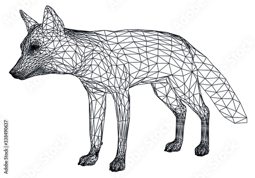 Fox polygonal lines illustration. Abstract vector fox on the white background