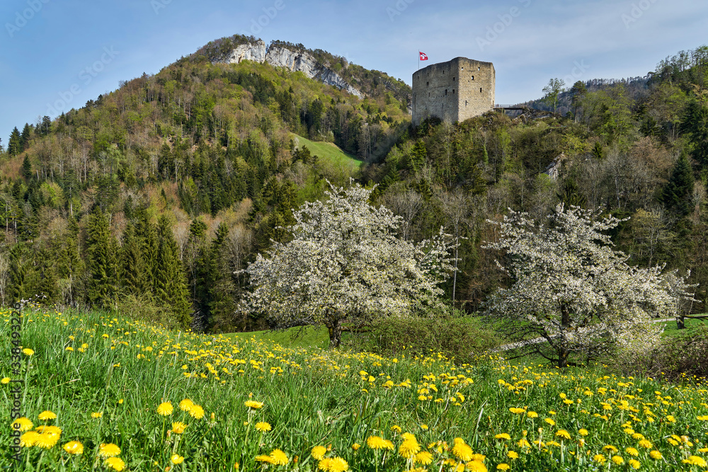 Schloss Gilgenberg bei Zullwil SO