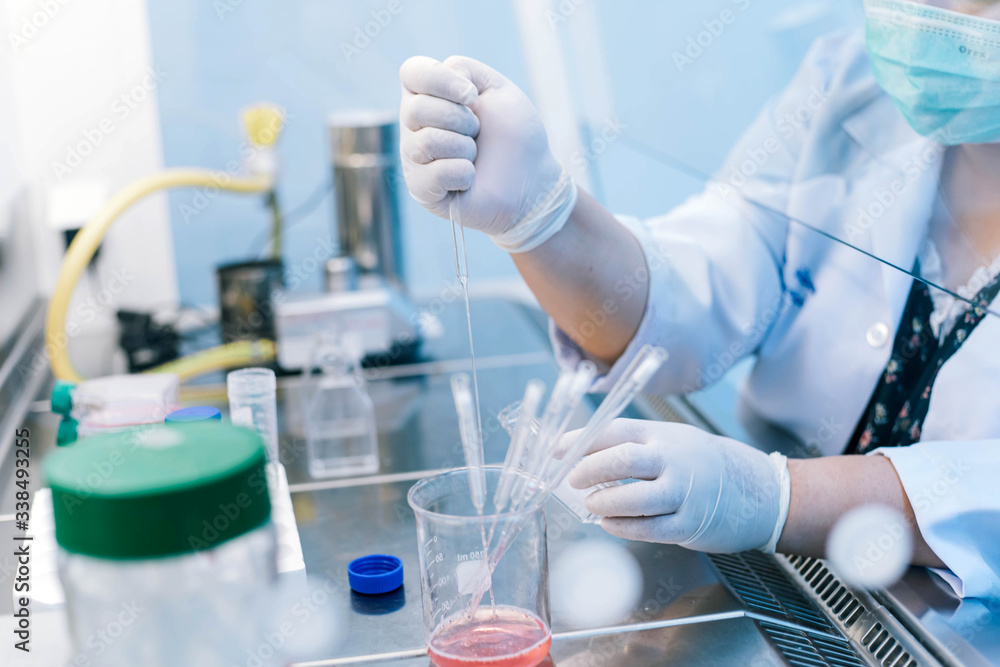 Fototapeta premium scientist working on Biosafety cabinet 