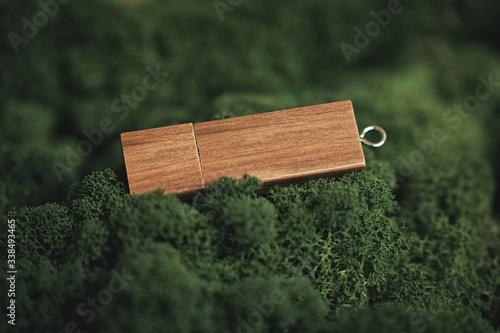 Mockup od wooden pendrive on the moss photo