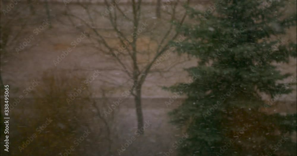 Wide Shot First Snow Blizzard Wide Shot First Snow Blizzard