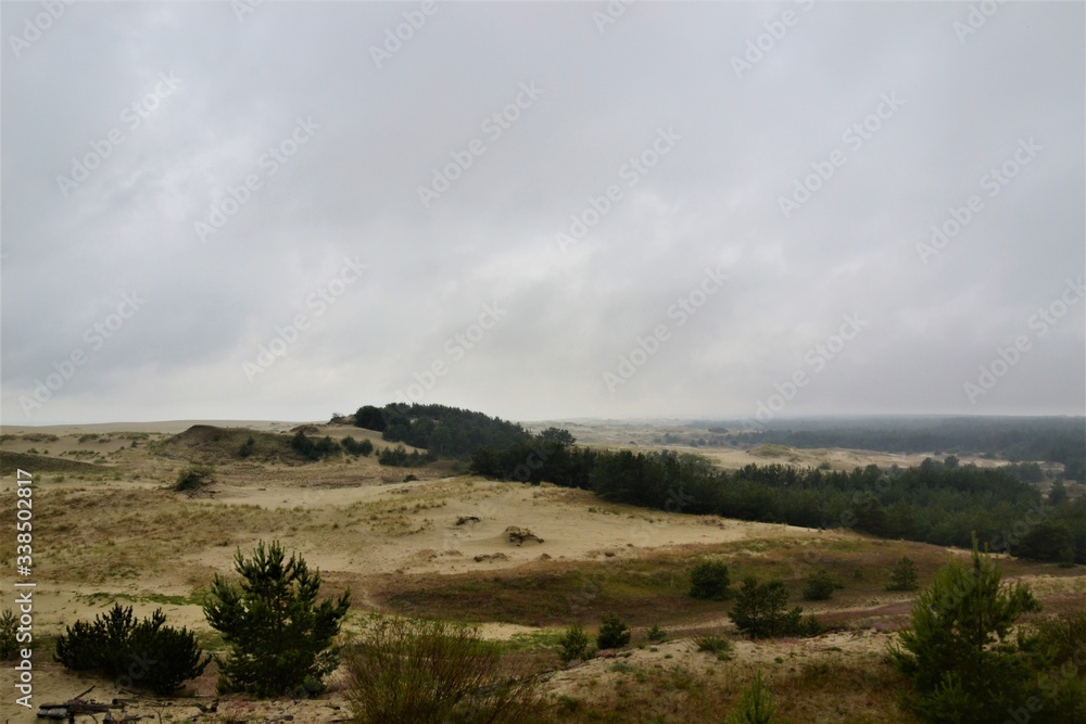 Baltic sea, Curonian spit, Dancing forest, Sand dunes