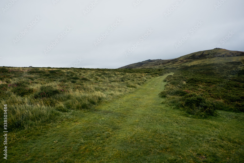 Landschaft im Dartmoor