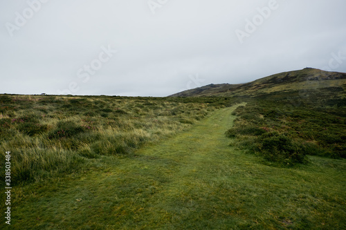 Landschaft im Dartmoor