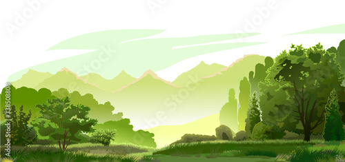 Fototapeta Naklejka Na Ścianę i Meble -  Forest, mountains in the distance. Vector. Green beautiful landscape. Mature trees, oysters and grass. On the horizon foggy mountains. Mysterious bright distance, yellow hills. Background.