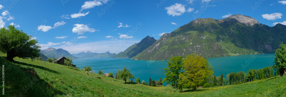 stunning view from hiking trail to rütli in central switzerland along lake lucerne with trees blooming and alps and lake in background