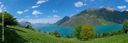 stunning view from hiking trail to rütli in central switzerland along lake lucerne with trees blooming and alps and lake in background