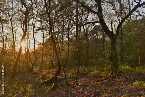 Εκτύπωση καμβά Sunset at Marley Common
