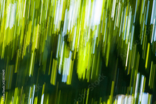 Fototapeta Naklejka Na Ścianę i Meble -  Abstract rainforest colours