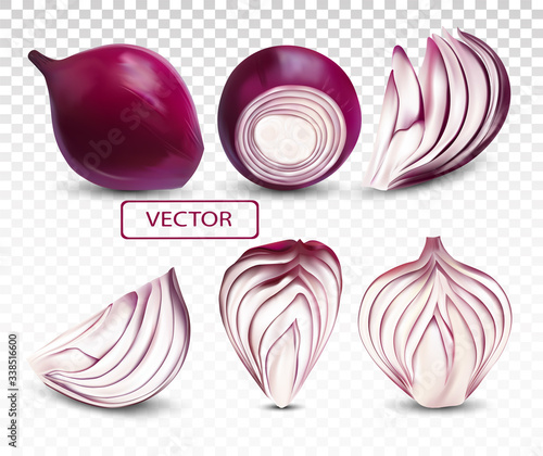 Collection fresh red onion close up.Sliced, half, piece onion on transparent background. 3D realistic vector illustration.