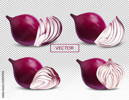 3D realistic fresh red onion close up. Sliced, half, piece onion on transparent background. Collection red onion. Vector illustration.