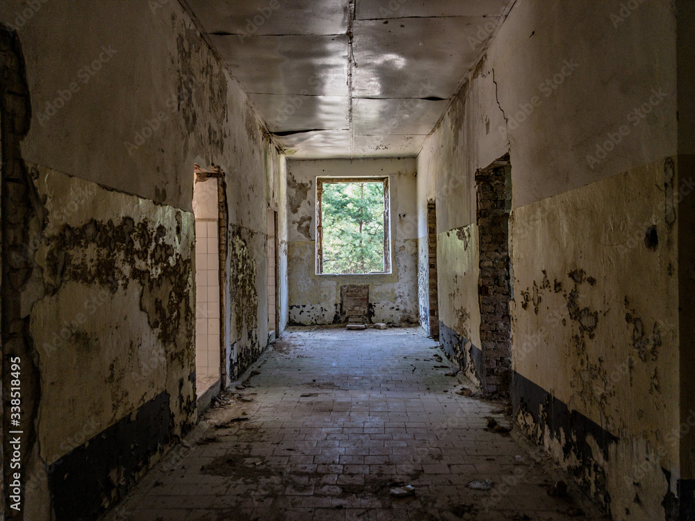 An abandoned corridor with dirty walls, broken window and trash on the floor, a sunny forest on the outside
