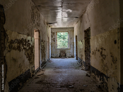 An abandoned corridor with dirty walls, broken window and trash on the floor, a sunny forest on the outside © rememberless