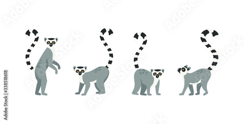 Collection of cute funny exotic lemurs isolated on white background. Set of adorable tropical animals or primates. Flat cartoon colorful vector illustration