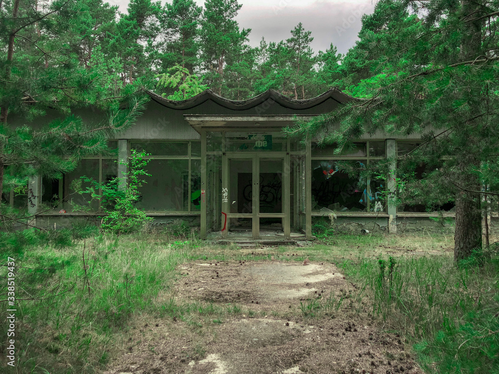 A derelict, overgrown storefront in a green forest A derelict, overgrown storefront in a green forest