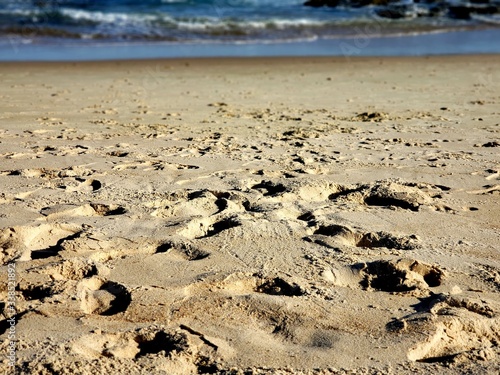 praia, areia, mar, férias, natureza, pedras, pegadas