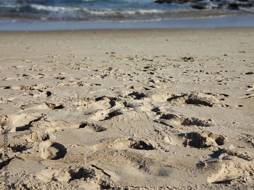 praia, areia, mar, férias, natureza, pedras, pegadas praia, areia, mar, férias, natureza, pedras, pegadas