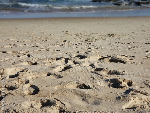 praia  areia  mar  f  rias  natureza  pedras  pegadas